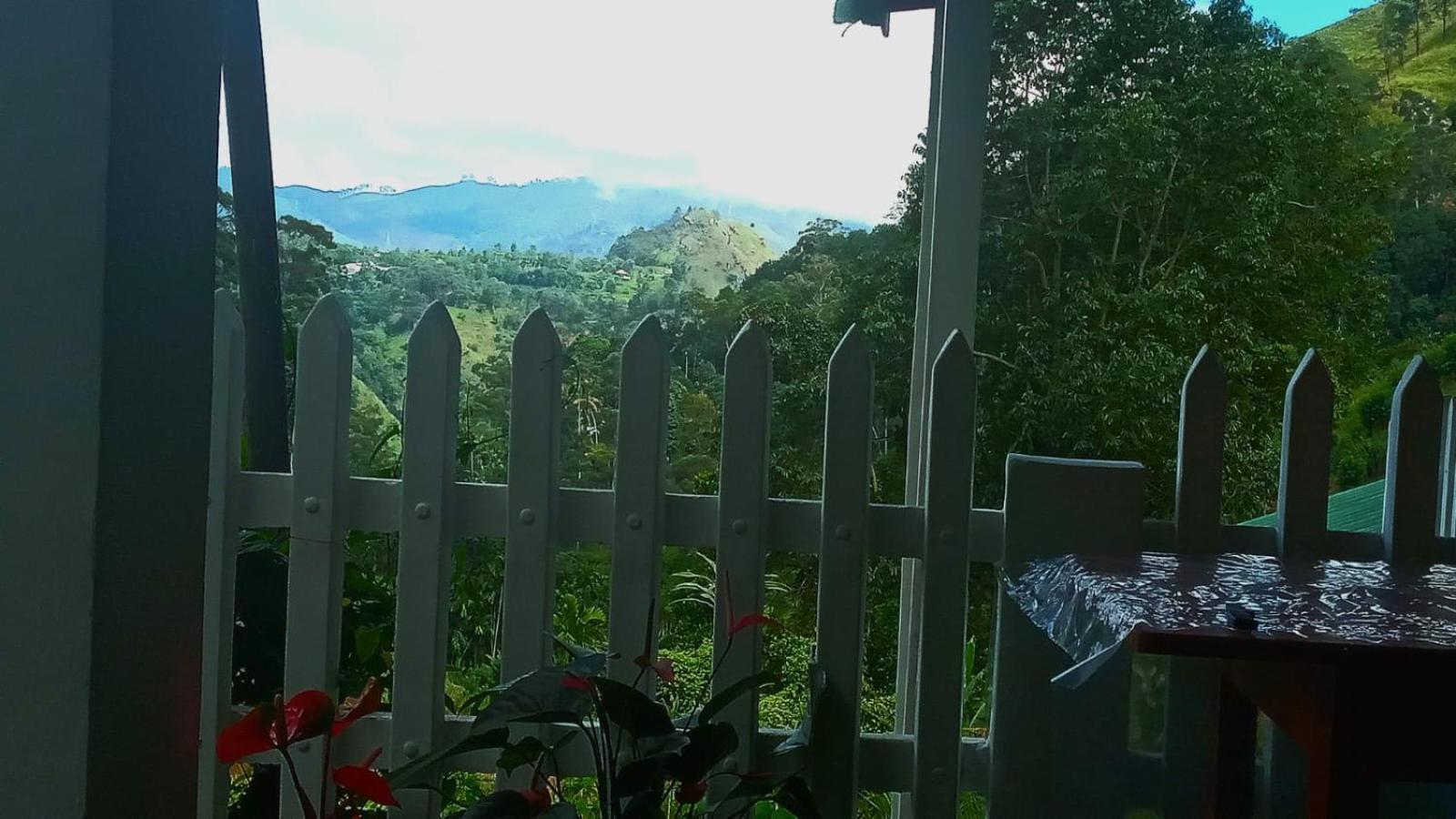 New Farmers Paradise เอลลา ภายนอก รูปภาพ
